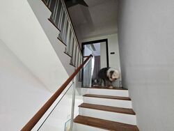 Sembawang Springs Estate (D27), Terrace #484254571